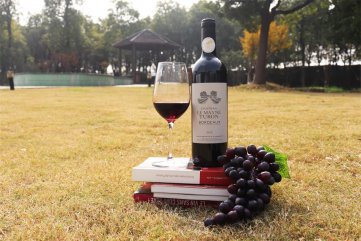 红酒宅男污视频排名有什么