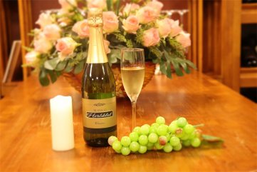 红酒招商宅男黄色网址网的前景如何