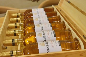 做红酒生意起步资金需多少呢