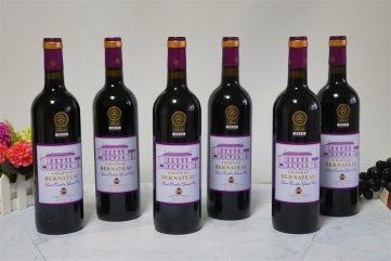 投资进口宅男视频网站免费生意有没有前景