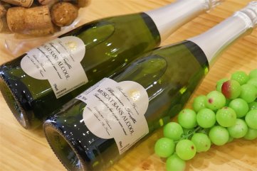 酒业宅男黄色网址连锁的市场怎么样